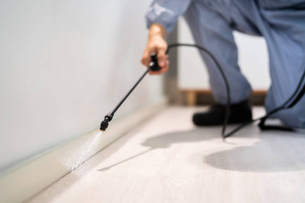 Licensed Rodent Control service in Merrionette Park, IL - Nex Pest Control