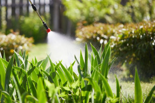 24/7 Emergency Rodent Control experts in Merrionette Park, IL
