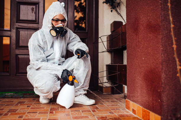 Reliable Rodent Control contractor in Merrionette Park, IL by Nex Pest Control